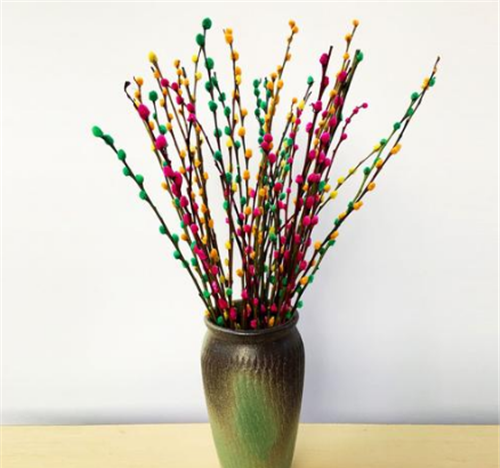 银柳摆放禁忌有哪些东西