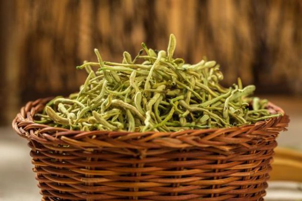 金银花为什么叫忍冬