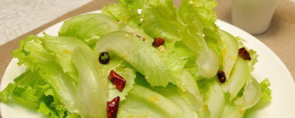 立冬前后可以种什么植物