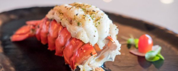 怎样挑选优质的南非龙虾