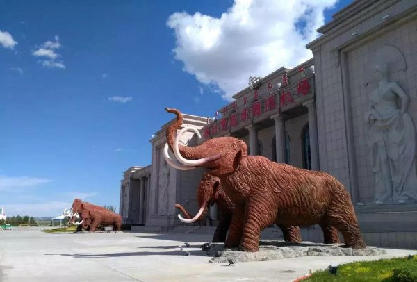 白塔机场属于哪个区