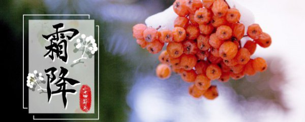 霜降时节的水果