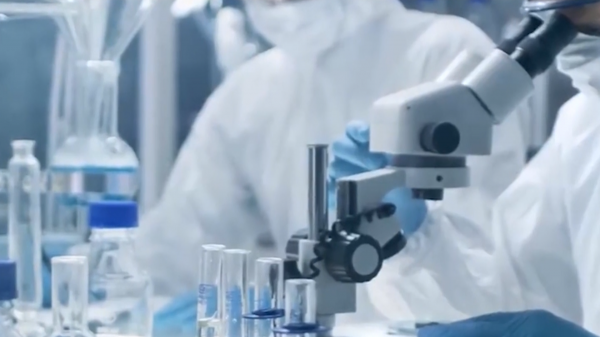 为什么要节约粮食