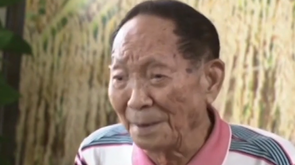 为什么要节约粮食