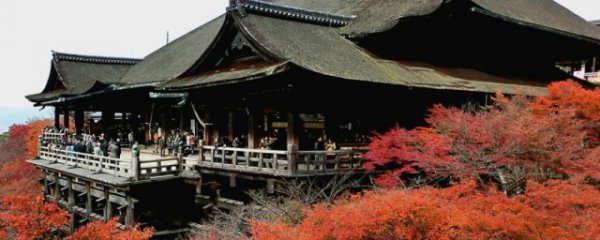 京都几月份去旅游最好