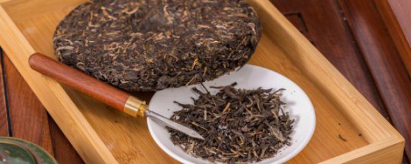 普洱茶怎么分辨真假茶叶