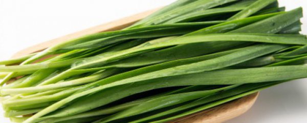 在家高效种植蔬菜的方法