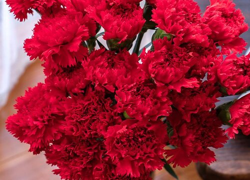 结婚送花送什么花合适