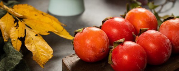 鱼和柿子能不能一起吃