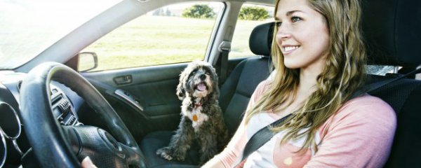 车子内饰需要多久清洗干净