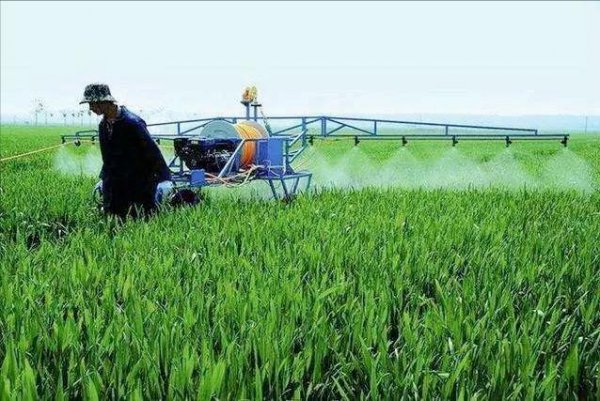 小麦控旺药什么时候打合适