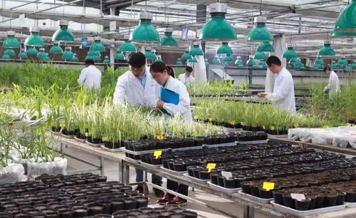 农学专业就业前景