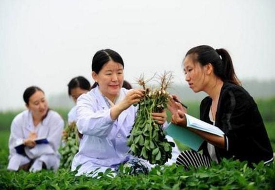 农学专业就业前景