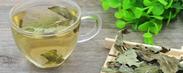 喝荷叶茶可以减肥吗