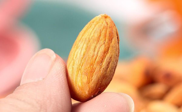 杏仁和巴旦木的区别图片