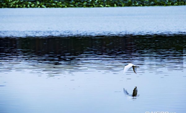 武汉的旅游景点有哪些最出名
