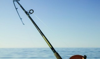 钓鱼怎样选鱼线 新手钓鱼怎样判断线路好坏