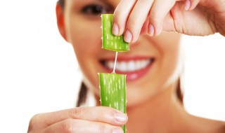 芦荟开花在民间预示着什么 芦荟开花在民间代表什么