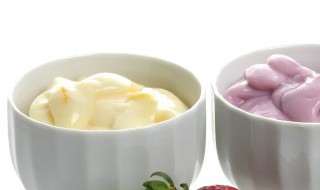 新鲜蕨麻酸奶的正确吃法 如何做新鲜蕨麻酸奶