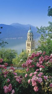 暨南大学在哪个城市 暨南大学是211大学还是985