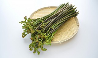 干的蕨菜怎么泡发的快 干的蕨菜如何泡发的快