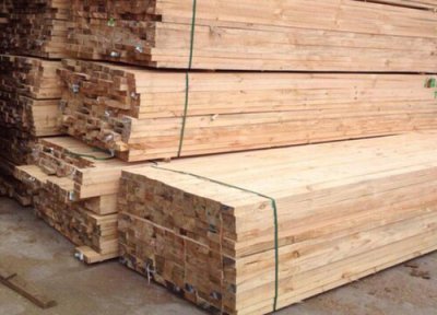 桉木是什么木材种类 属于什么树种