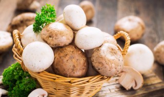 菇要焯水吗 菇是否需要焯水呢