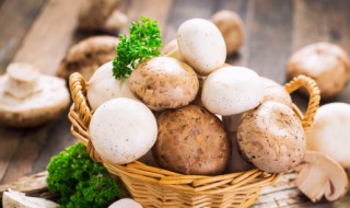 蘑菇要煮多久 蘑菇一般需要煮几分钟