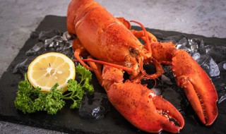 龙虾为什么要放虾尿 龙虾要放虾尿的原因