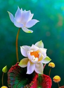 老婆嫌弃你的表现有哪些 嫌弃你的女人会有哪些征兆