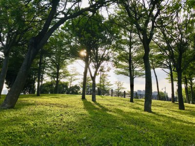 自我心理暗示有多可怕 利用自我暗示帮助自己寻找目标