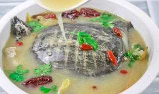 鳖甲和什么搭配煲汤比较好 鳖甲和哪种食材搭配煲汤比较好