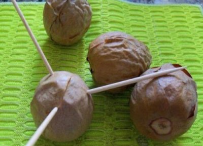 牛油果种子栽种步骤 牛油果种子怎么种植方法