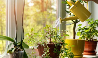 如何改变磁场提升运气 怎样改变磁场提升运气