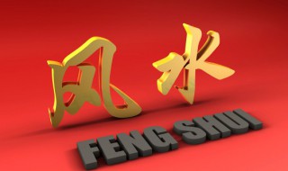 家里放什么财旺家 家里放什么旺财运