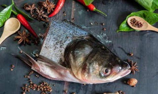 怎样挑选优质鲔鱼 挑选优质鲔鱼的技巧