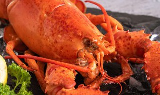 钓龙虾用什么饵料 钓龙虾用哪些饵料