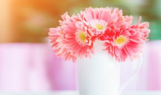 鲜花怎么样在水里保鲜 鲜花在水里如何保鲜