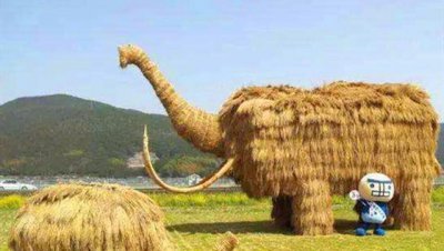 农村秸秆怎么合理利用 农户有效利用秸秆的好方法