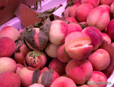 水蜜桃是软的还是脆的 水蜜桃为什么有的软有的脆
