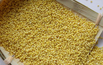 小黄米特点 小黄米的功效与作用