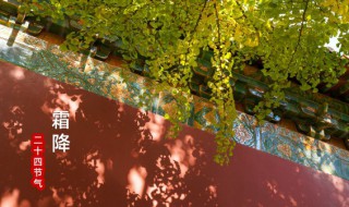 霜降养生问候语 霜降养生句子说说