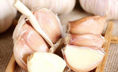 怎样才能让蒜头长的大 用什么药可使蒜头膨大