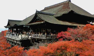 京都几月份去旅游最好 京都旅游的最佳月份