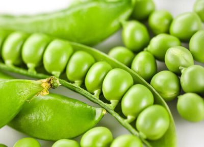 豌豆含糖量 豌豆含糖量高吗