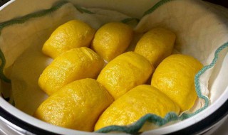南瓜小馒头如何储存保鲜 南瓜小馒头的储存保鲜方法分享