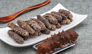 常吃海参的好处和坏处 经常吃海参对人有什么好处和坏处