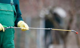 钾肥在什么时候施 氮肥钾肥施肥时间和方法