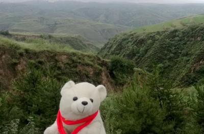 黄土高原的气候类型是什么 黄土高原是跨气候类型特征吗