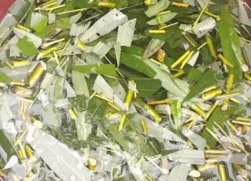 用什么植料养护兰花可以养殖出极好的状态